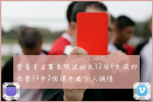 登哥季后赛表现波动大12场0失误却也曾14中2伤退开局令人惋惜